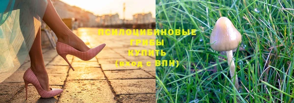 скорость Заводоуковск
