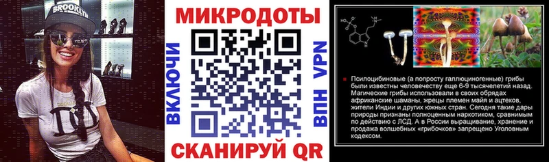 Псилоцибиновые грибы прущие грибы  Салаир 